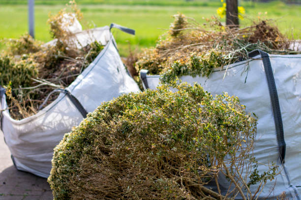 Best Residential Junk Removal  in Allen Park, MI