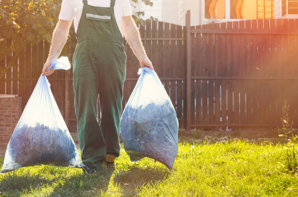 Best Carpet Removal and Disposal  in Allen Park, MI